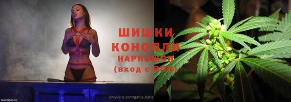 mix Богородицк