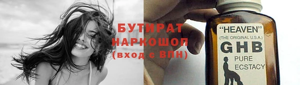 индика Бородино