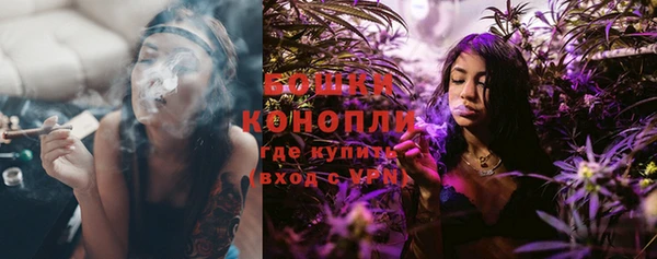 mix Богородицк