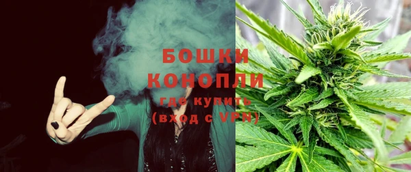 героин Богданович