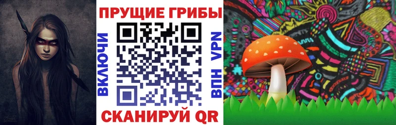 купить наркотик  Мценск  Псилоцибиновые грибы мицелий 